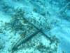 Belize_7_Schnorcheln_Caulker_0020.jpg